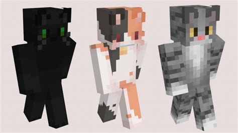 minecraft cat skin|cat minecraft skin template.